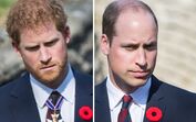 william, harry