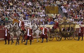 Temporada do Campo Pequeno encerra com corrida à Antiga Portuguesa