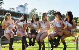 Futuros veterinários despem-se em calendário por solidariedade