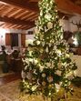 Manuel Luís Goucha, Natal
