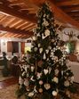 Manuel Luís Goucha, Natal