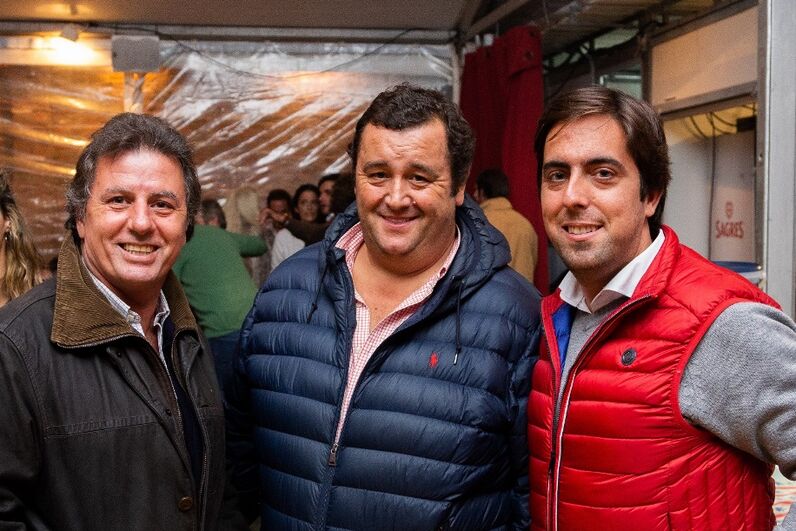Golegã, coparias, feira da golegã, são martinho, feira do cavalo, puro sangue lusitano