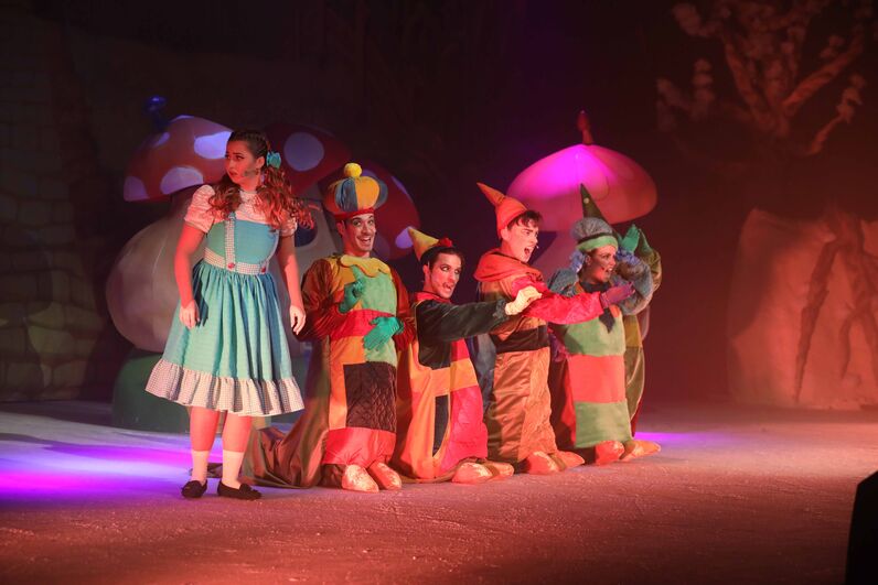 Feiticeiro de Oz no Gelo