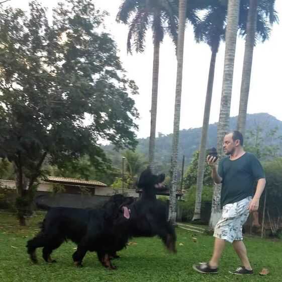 Matheus Nachtergaele