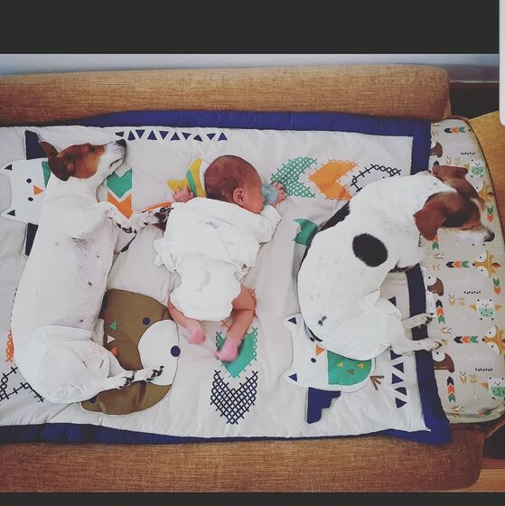 Rita Pereira com a cadela Hyndia