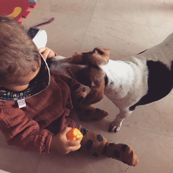 Rita Pereira com a cadela Hyndia