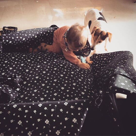 Rita Pereira com a cadela Hyndia