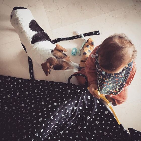 Rita Pereira com a cadela Hyndia