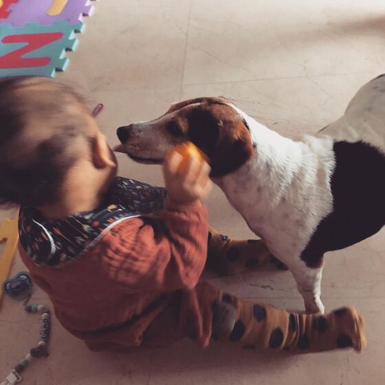 Rita Pereira com a cadela Hyndia