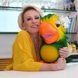 Ana Maria Braga