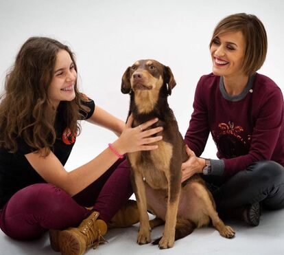 Pesadelo acabou! Fátima Lopes encontra Brownie mas cão está magoado e precisa de cuidados veterinários 
