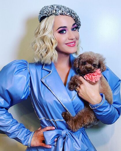  katy perry
