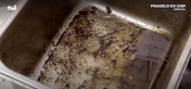 Pesadelo na Cozinha