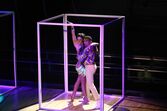 dança com as estrelas