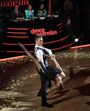 dança com as estrelas