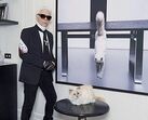 karl lagerfeld e choupette ( a gata)