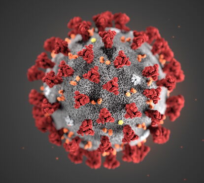 Esperança! Cientistas identificam enzima do coronavírus fundamental para o desenvolvimento de medicamentos