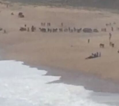 Nazaré. Surfista Alex Botelho apanhado em onda gigante precisa de ventilação artificial