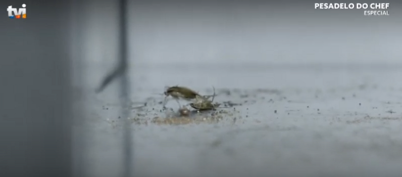 Pesadelo na Cozinha