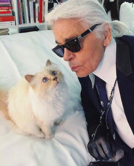 karl lagerfeld e choupette ( a gata)
