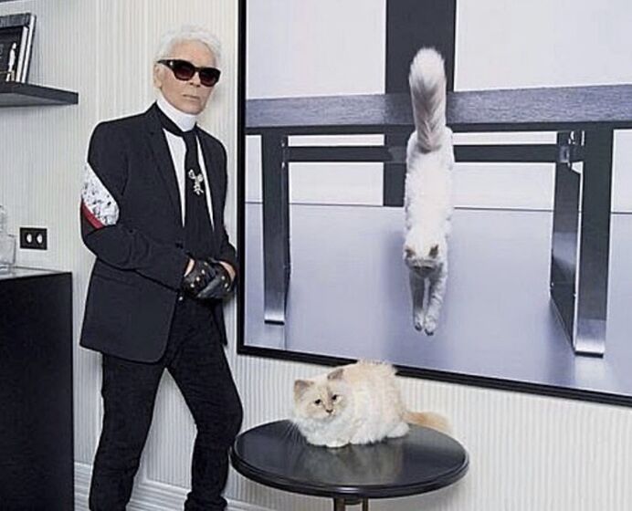 karl lagerfeld e choupette ( a gata)