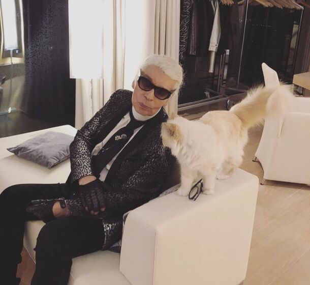 karl lagerfeld e choupette ( a gata)