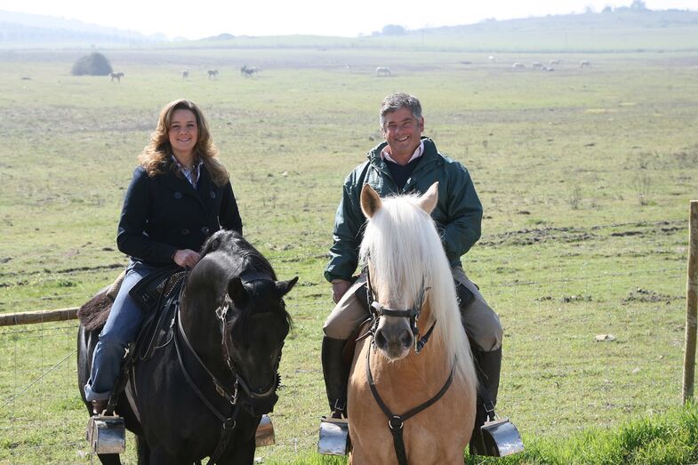 João Moura, Filipa Telles de Carvalho, cães, polémica, maus tratos, galgos, monforte