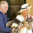  Camilla Parker Bowles