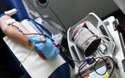 Já ouviu falar nas 'cobaias' do coronavírus? Laboratórios pagam 100 euros por dia para voluntários serem infetados