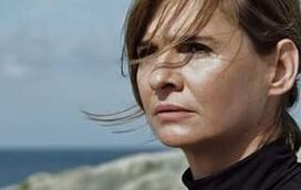 As acusações de Sylvie Rocha contra Manuel Wiborg