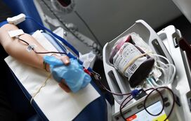 Uma boa notícia! Primeiro doente com Covid-19 curado em Portugal