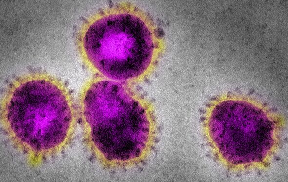coronavirus