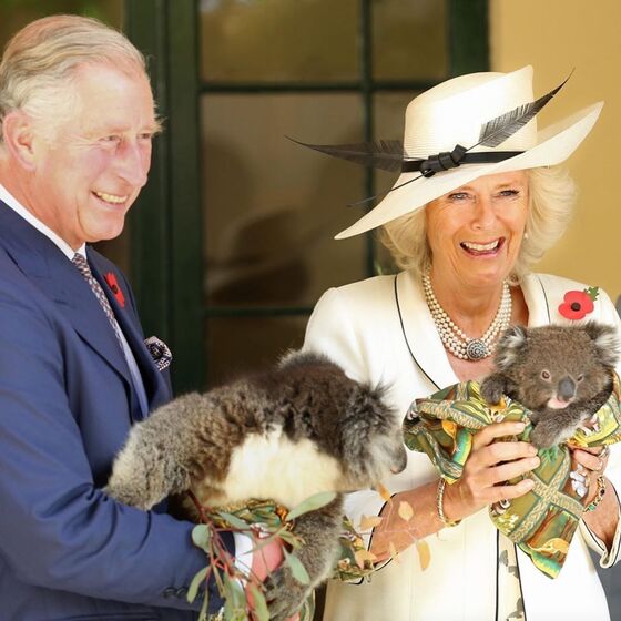 Camilla Parker Bowles