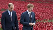 Príncipe William e Harry