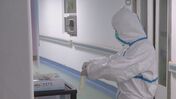 coronavirus covid-19 relatorio boletim