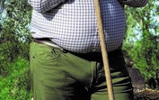 Francisco Tomé