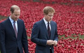 Revelados pormenores da discussão que ditou a guerra entre os irmãos William e Harry 