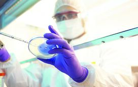 Covid-19: já há plano para voltar a nova normalidade. E é isto que tem de seguir