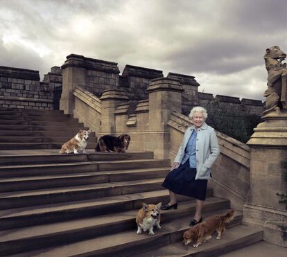 Psicólogo dos corgis de Isabel II faz alerta sobre problemas dos cães após quarentena