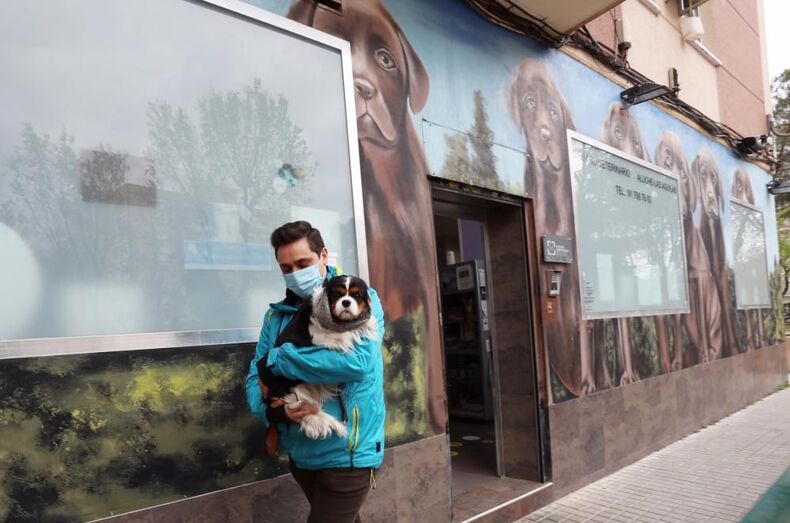 Animais de estimação