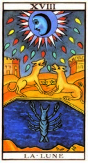 tarot, maya