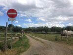 Catarina agricultora programa SIC