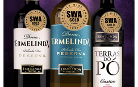 Casa Ermelinda Freitas premiada em Inglaterra