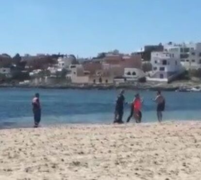Cena surreal em Ibiza: três detidos por desobediência e tentativa de afogamento de um polícia