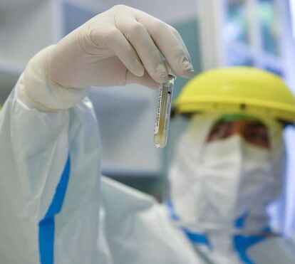 Morreram mais 12 pessoas em Portugal com covid-19. Casos abrandam em dia de forte descida nos doentes graves