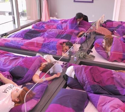 Jessica e Pedro Alves não se largam na casa mais vigiada do país