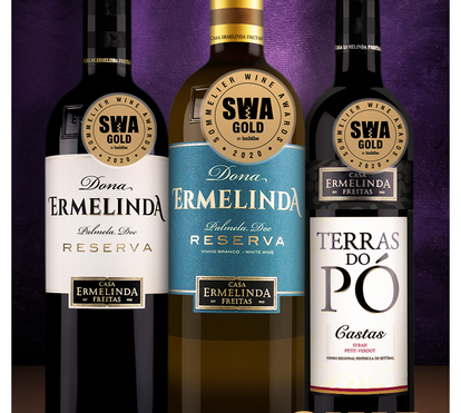 Casa Ermelinda Freitas premiada em Inglaterra