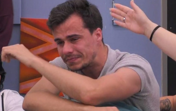 pedro, big brother