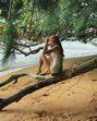 cintia dicker, modelo, brasil, pedro scooby, casamento