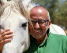goucha, cavalos